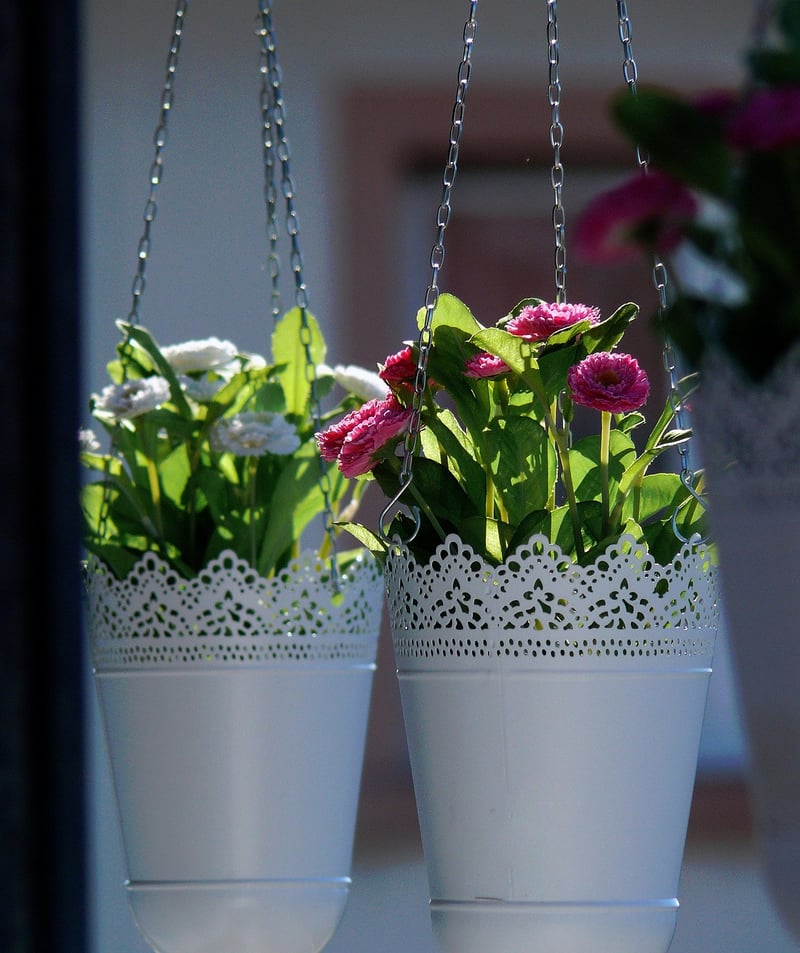 Hanging Garden Baskets
