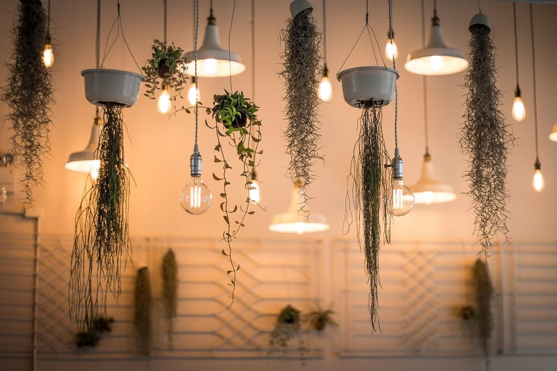 Plant Stands